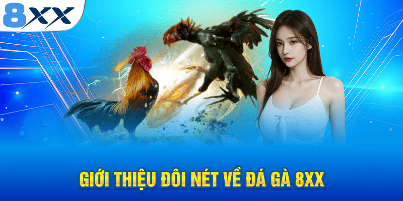 Giới thiệu đôi nét về sảnh